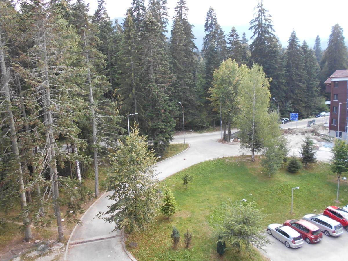 Valentina'S Studio In "Borovets Gardens" Hotel Екстер'єр фото